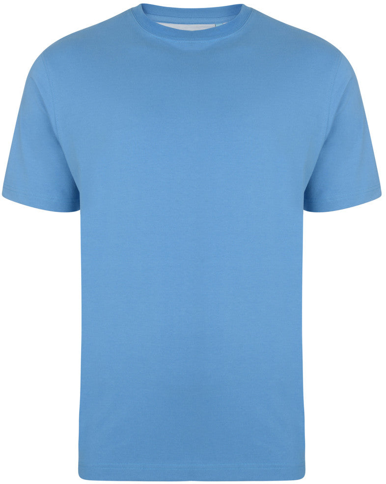 Short sleeve t-shirt (Blue)